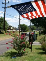 462 - Old glory and crepe myrtle and CSX M of W tamper